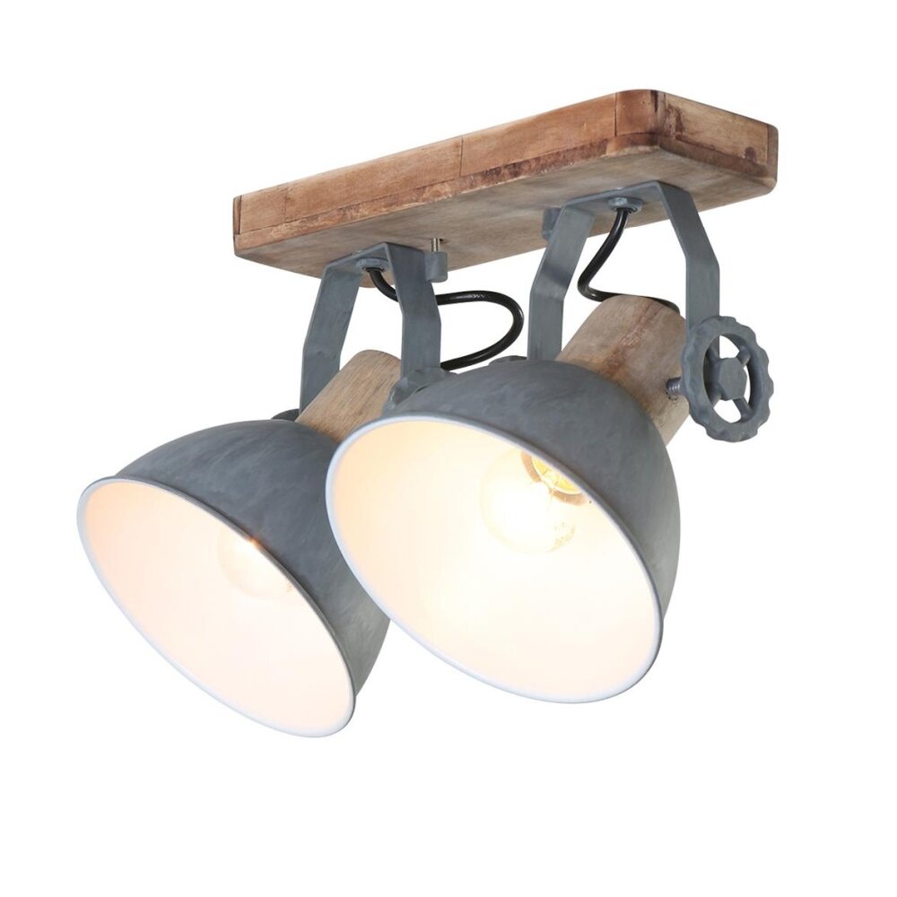 Spot Steinhauer GEARWOOD Gris, 2 lumières main product photo