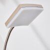 Lampadaire à vasque Thyolo LED Acier brossé, 2 lumières