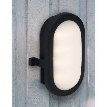 TILBURY Brilliant Lampe murale d'extérieur LED Anthracite, 1 lumière