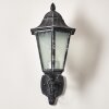 Applique murale d'extérieur Lignac Noir, Argenté, 1 lumière