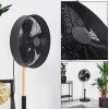 Ventilateur Markham Bois clair, Noir