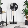 Ventilateur Markham Bois clair, Noir