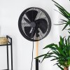 Ventilateur Markham Bois clair, Noir