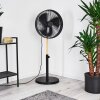 Ventilateur Markham Bois clair, Noir