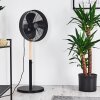 Ventilateur Markham Bois clair, Noir