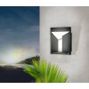 Applique murale Eglo TREVIOLO LED Anthracite, 2 lumières
