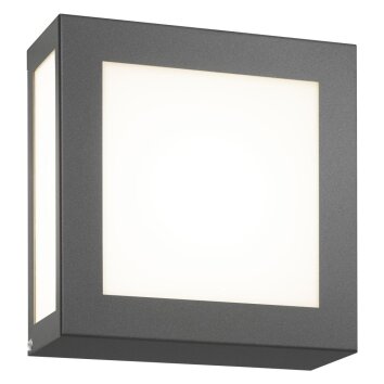 Applique murale d'extérieur CMD Aqua Legendo Mini Anthracite, 1 lumière