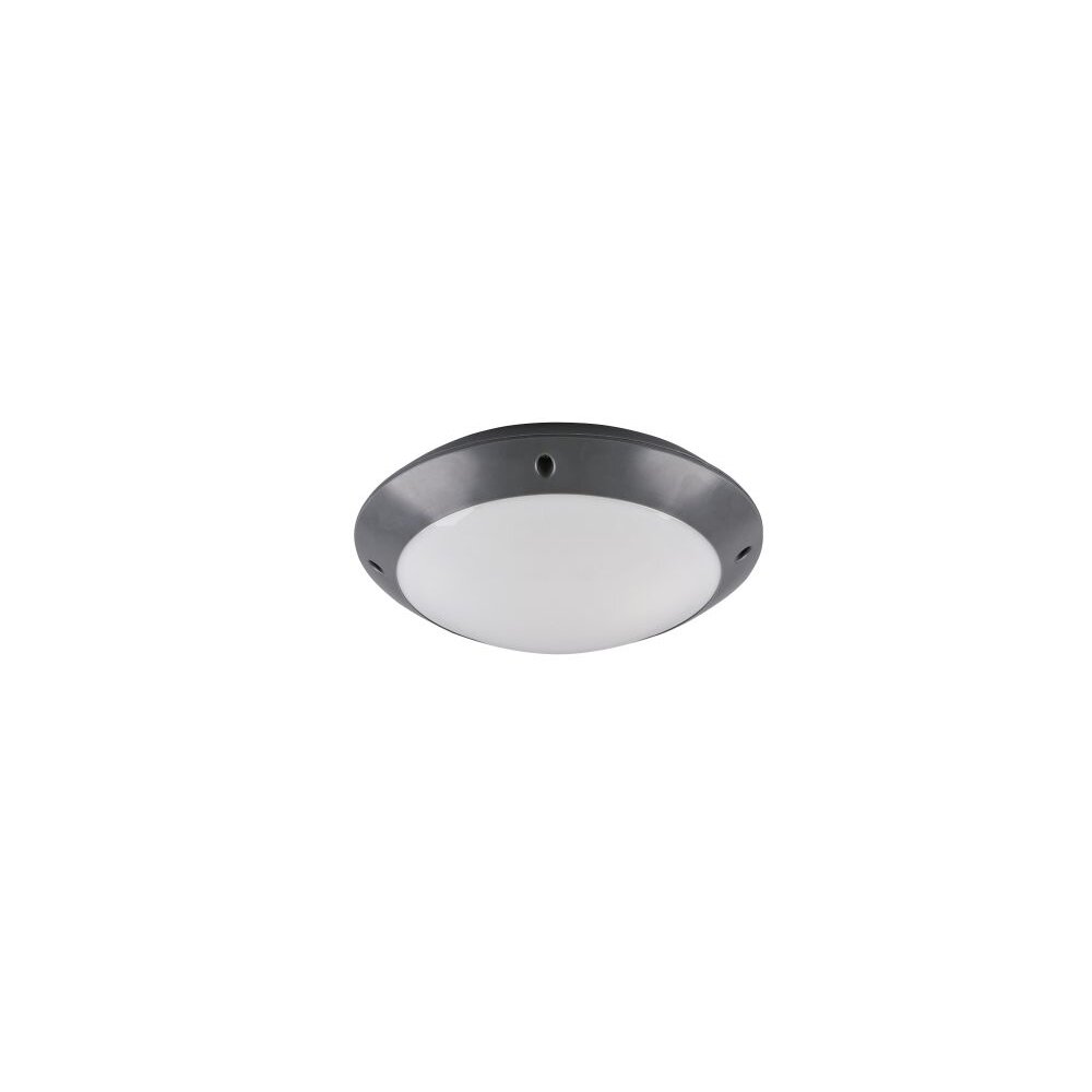 Plafonnier d'extérieur Reality CAMARO Anthracite, 1 lumière main product photo