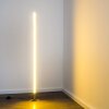 Lampadaire Dillon LED Nickel mat, 1 lumière