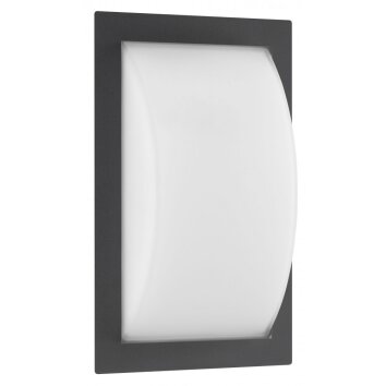 Lampe murale d'extérieur LCD Anthracite, 1 lumière