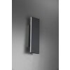 Applique murale Trio Leuchten CONCHA LED Anthracite, 2 lumières