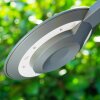Borne lumineuse GAKONA LED Gris, 1 lumière