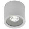 Spot de plafond Albert 2319 LED Argenté, 1 lumière