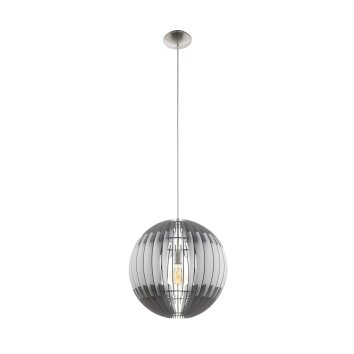 Suspension Eglo OLMERO Nickel mat, 1 lumière