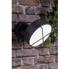 Applique murale d'extérieur Brilliant Nyx LED Anthracite, 1 lumière