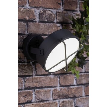 Applique murale d'extérieur Brilliant Nyx LED Anthracite, 1 lumière