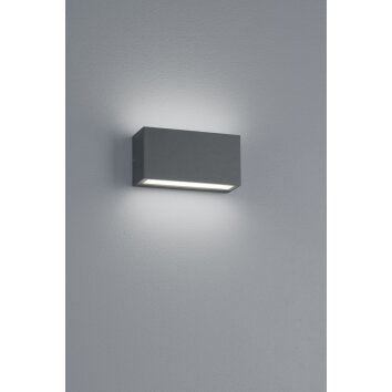 Applique murale d'extérieur Trio TRENT LED Anthracite, 1 lumière