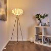 Lampadaire Zobus Nickel mat, 1 lumière