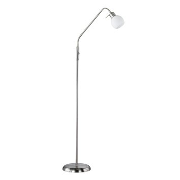 Lampadaire Trio-Leuchten Freddy LED Nickel mat, 1 lumière