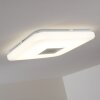 Plafonnier Lumsden LED Gris, 1 lumière, Télécommandes