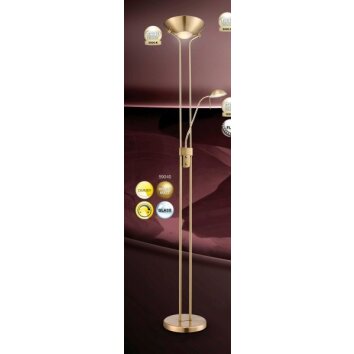 Lampadaire à vasque Globo LEONAS LED Laiton, 2 lumières