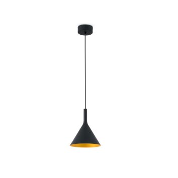 Lampe pendante Faro Pam LED Or, Noir, 1 lumière
