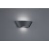 Lampe murale d'extérieur Trio Sacramento LED Anthracite, 2 lumières