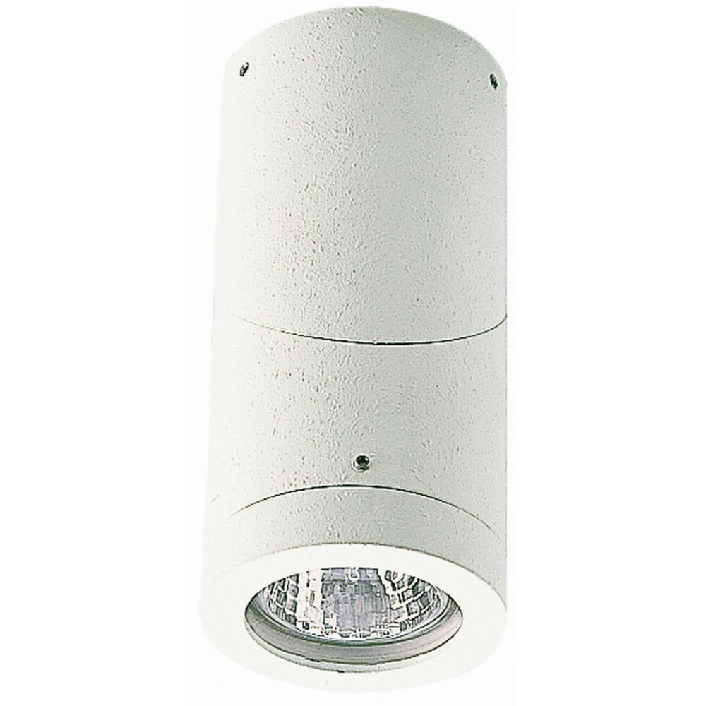 Plafonnier d'extérieur Albert 2138 Blanc, 1 lumière main product photo