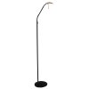 Lampadaire Steinhauer Zenith LED Noir, 1 lumière