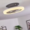 Ventilateur de plafond Somalia LED Argenté, Transparent, 1 lumière