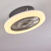 Ventilateur de plafond Somalia LED Argenté, Transparent, 1 lumière