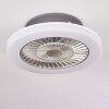 Ventilateur de plafond Somalia LED Argenté, Transparent, 1 lumière