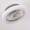 Ventilateur de plafond Somalia LED Argenté, Transparent, 1 lumière