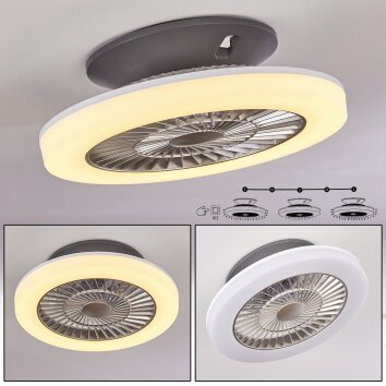 Ventilateur de plafond Somalia LED Argenté, Transparent, 1 lumière