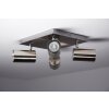 Plafonnier Trio 8024 Acier inoxydable, Nickel mat, 4 lumières Plafonnier Trio 8024 Acier inoxydable, Nickel mat, 4 lumières