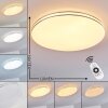 Plafonnier Genthin LED Blanc, 1 lumière, Télécommandes