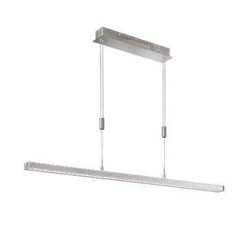 Suspension Fischer & Honsel VITAN LED Nickel mat, 1 lumière