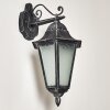 Applique murale d'extérieur Lignac Noir, Argenté, 1 lumière