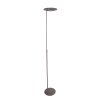 Lampadaire Steinhauer Zenith LED Acier inoxydable, 1 lumière