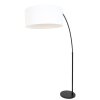 Lampadaire Steinhauer Gramineus Noir, 1 lumière