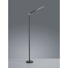 Lampadaire Trio FILIGRAN LED Noir, 1 lumière