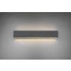 Applique murale Trio Leuchten CONCHA LED Anthracite, 2 lumières