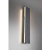 Applique murale Trio Leuchten CONCHA LED Anthracite, 2 lumières