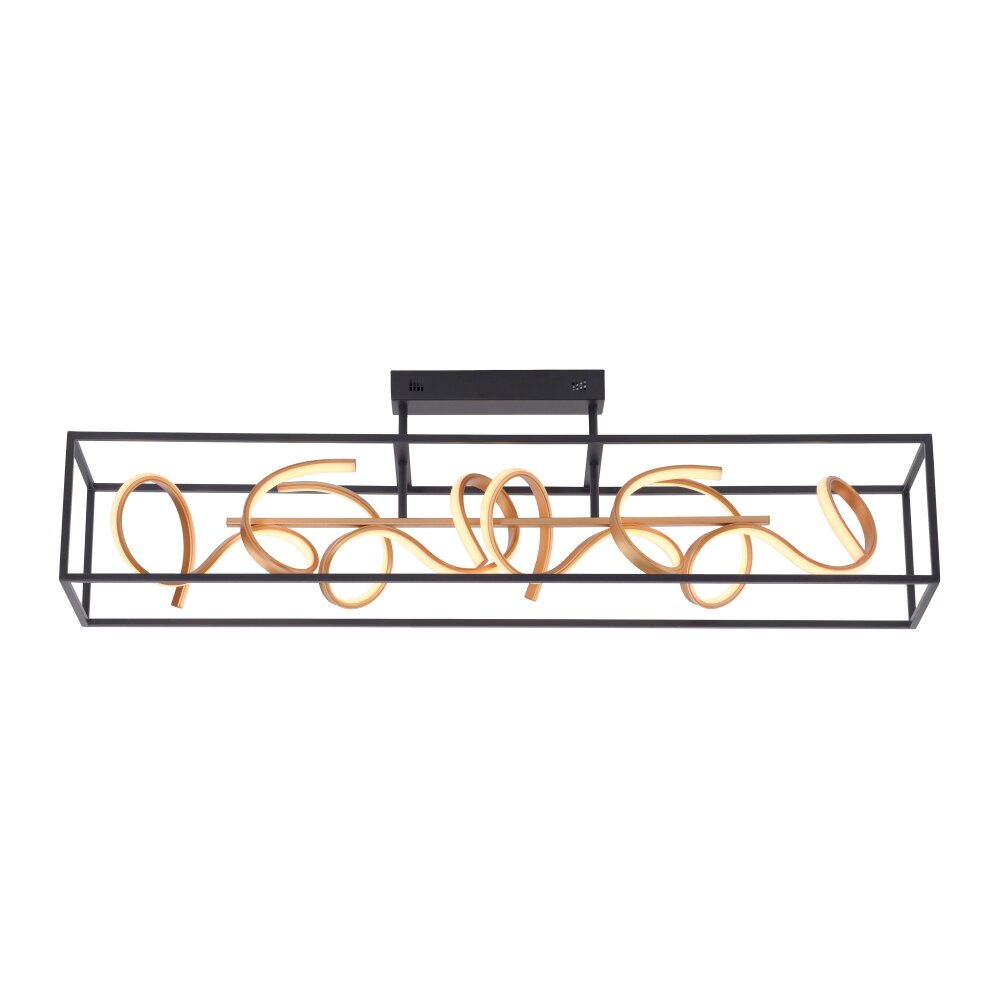 Plafonnier Paul Neuhaus SELINA LED Noir, 4 lumières main product photo