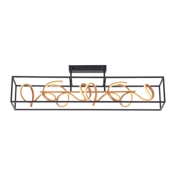 Plafonnier Paul Neuhaus SELINA LED Noir, 4 lumières