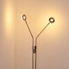 Lampadaire Gulkana LED Nickel mat, 2 lumières