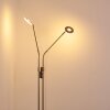 Lampadaire Gulkana LED Nickel mat, 2 lumières