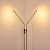 Lampadaire Gulkana LED Nickel mat, 2 lumières