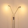 Lampadaire Gulkana LED Nickel mat, 2 lumières