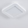 Plafonnier Siguna LED Blanc, 1 lumière